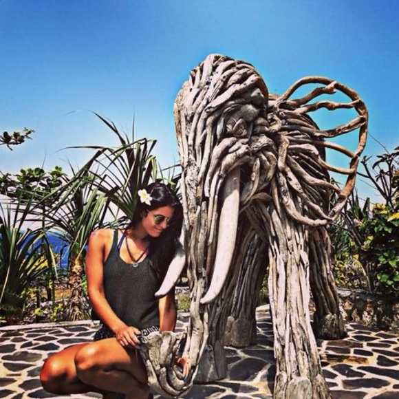 Meet your Posher, Dani - Picture 1 of 1